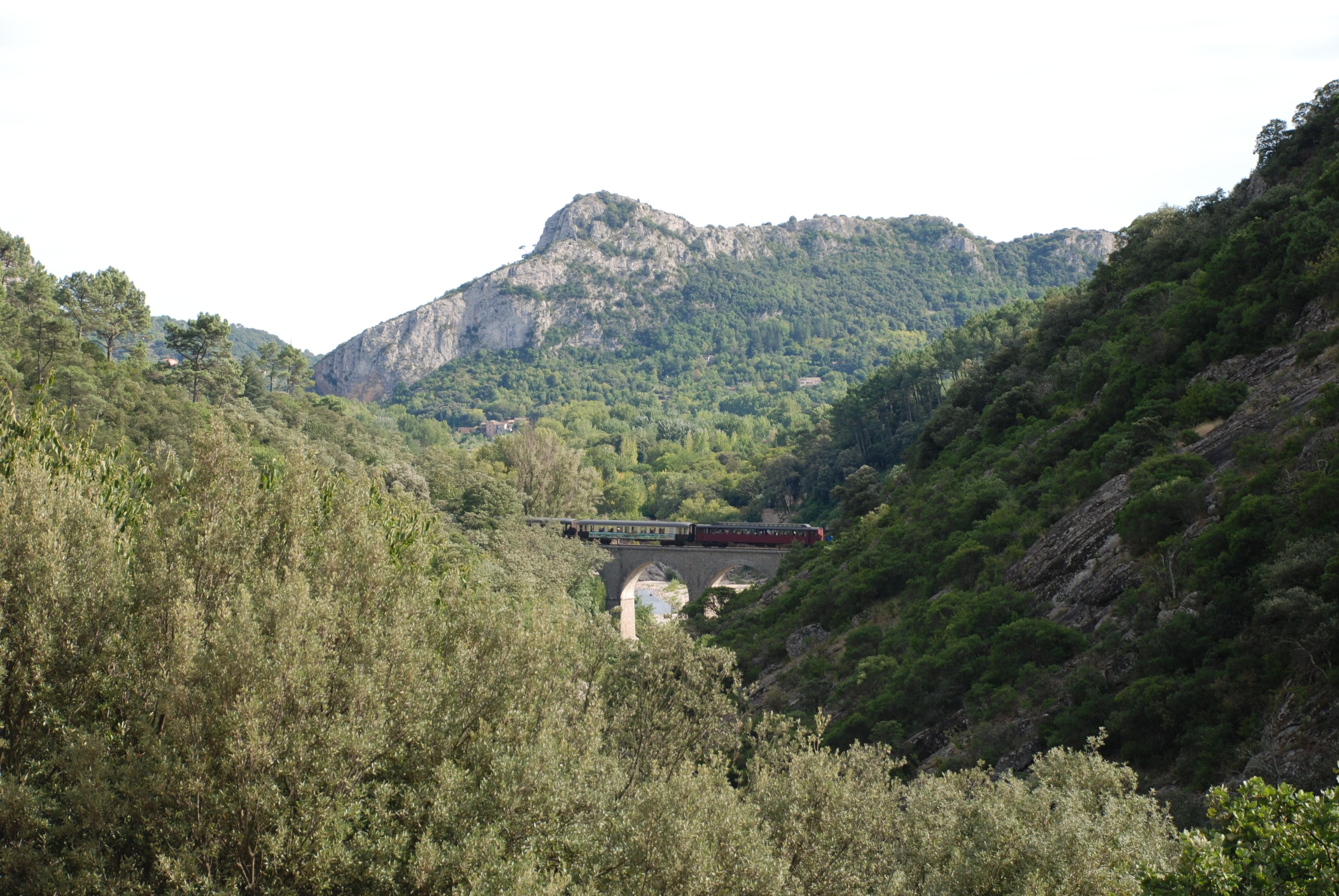 Un tren cruzando un puente sobre un valle con montañas al fondo.