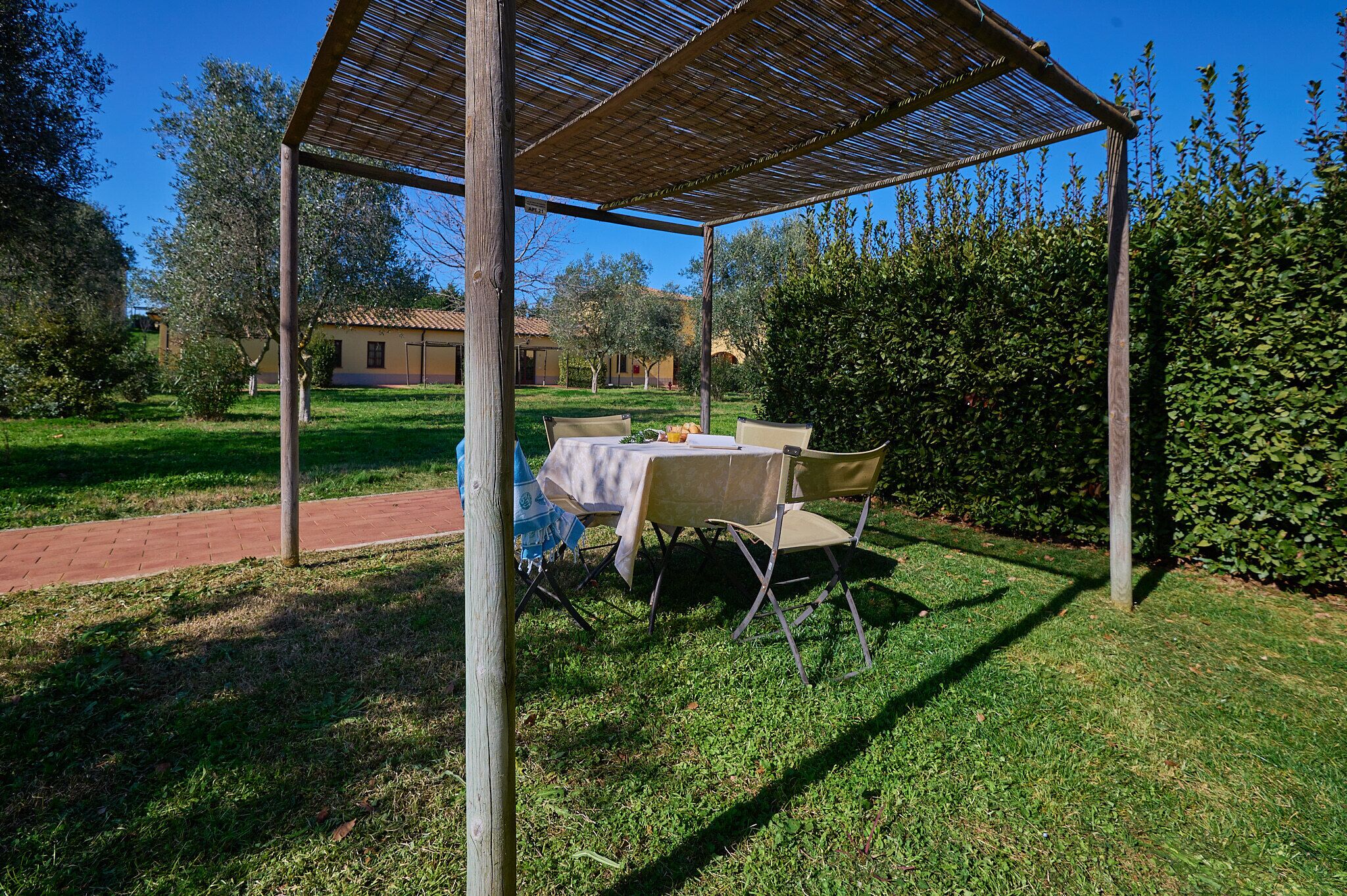Terraza o patio