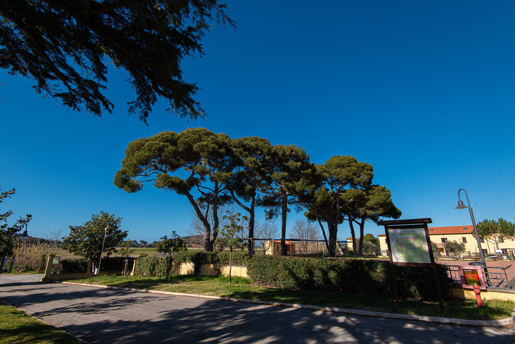 A street with trees, a map display, and a clear blue sky.