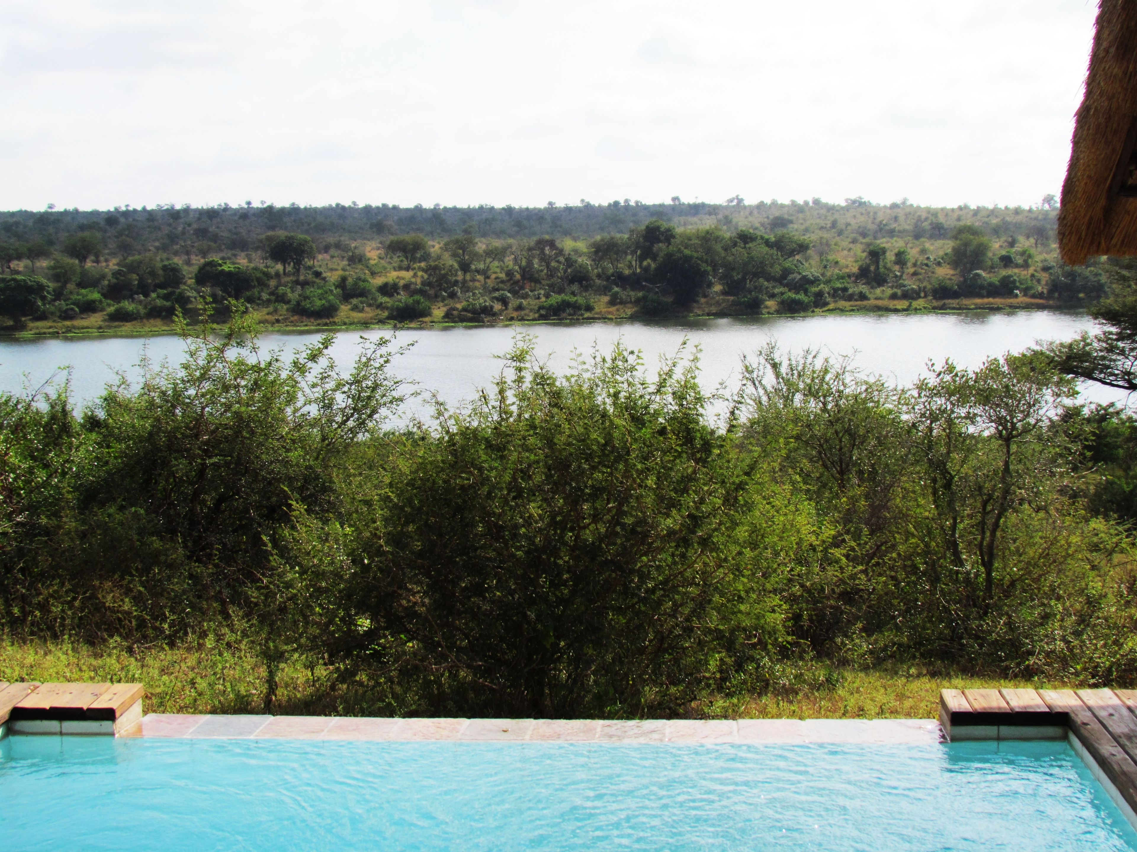 Suite, Flussblick | Außenpool