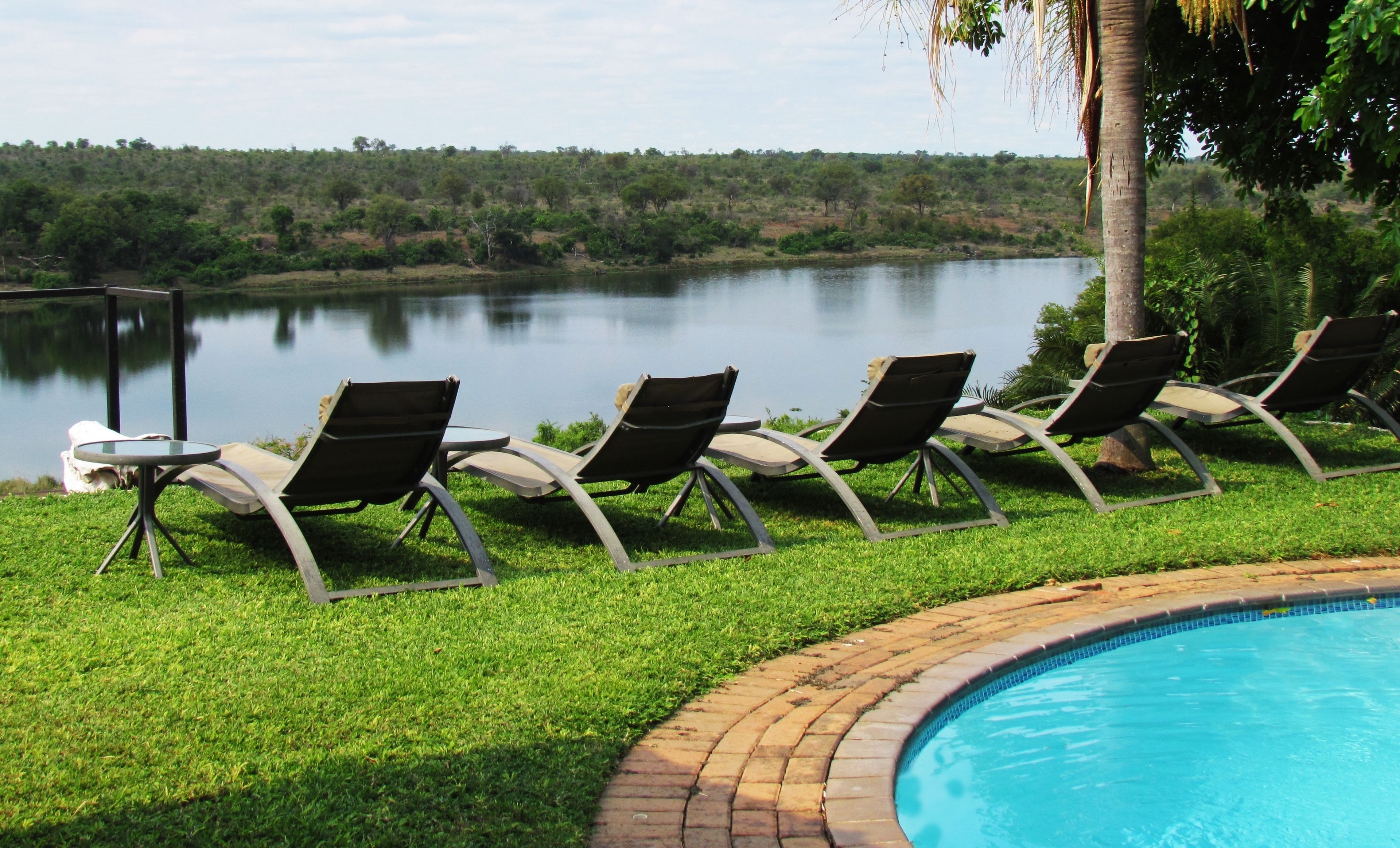 Outdoor pool, sun loungers