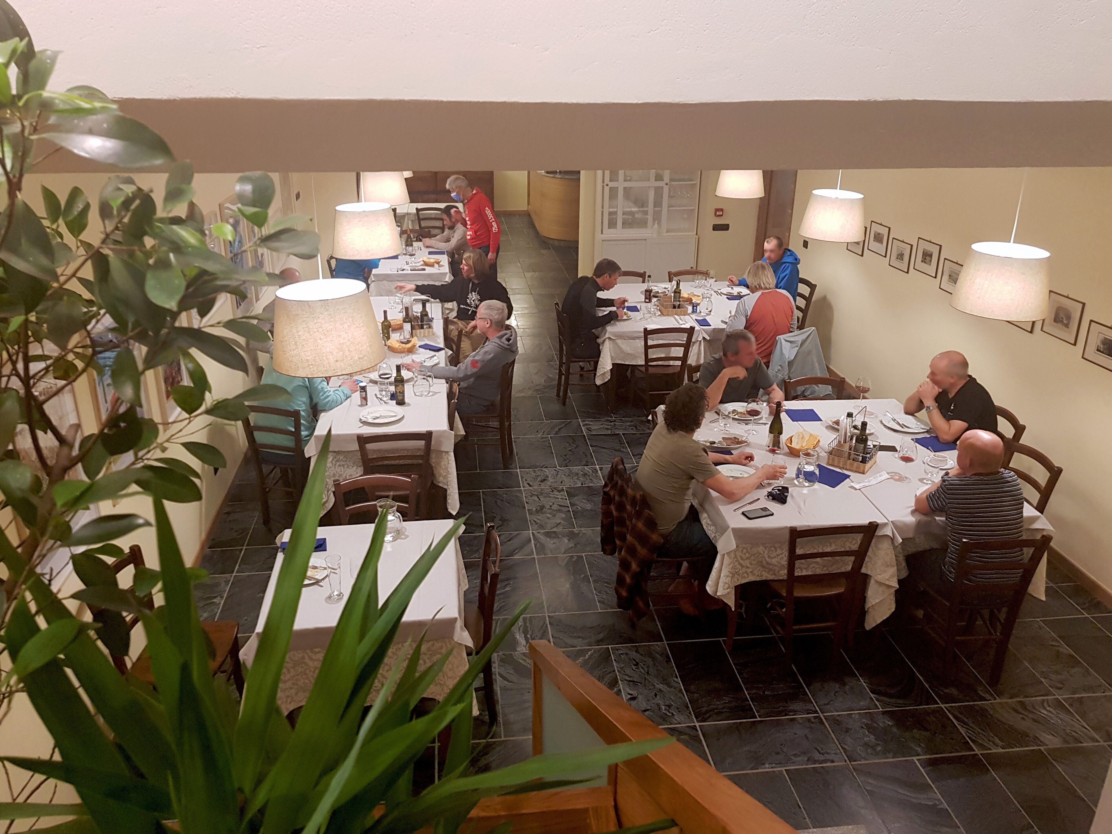 A restaurant with multiple tables, each set with plates, glasses, and bottles. There are potted plants in the foreground.
