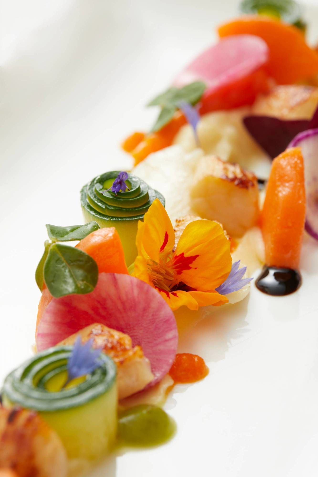 lunch and dinner served, french cuisine