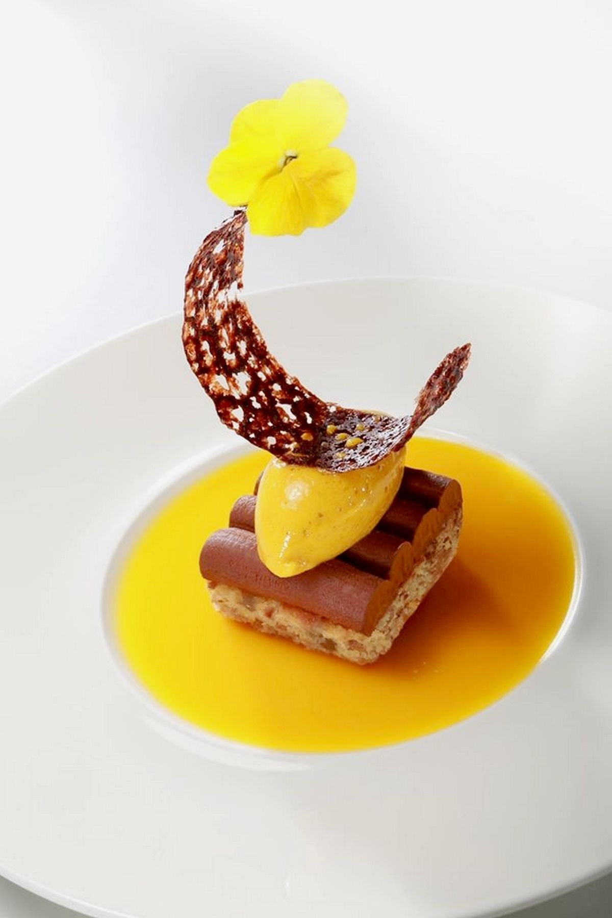 lunch and dinner served, french cuisine