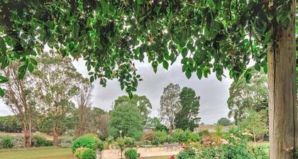 Country Comfort Mount Gambier