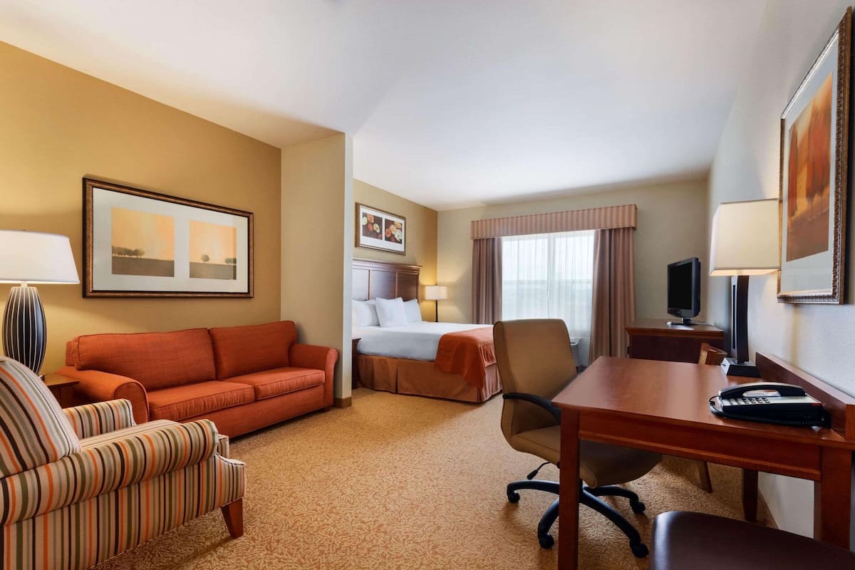 A hotel room with a bed, a sofa, a desk, and a chair.