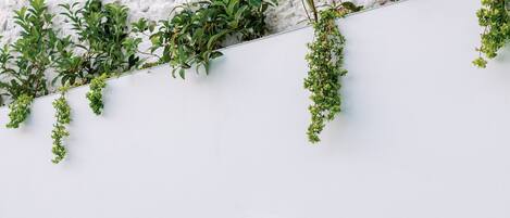 A pool with a waterfall feature, surrounded by a white wall and greenery.