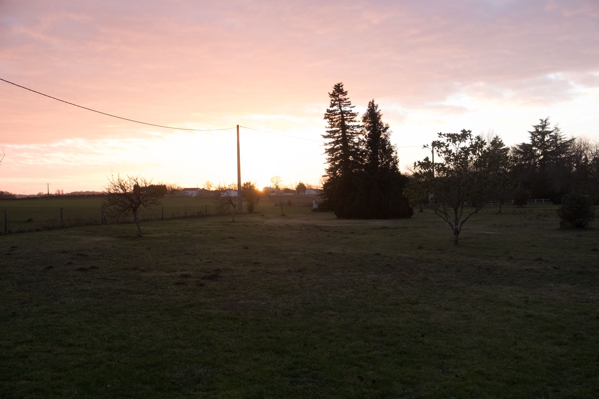 A grassy field with a few trees and a distant building.