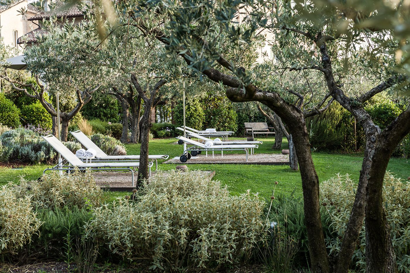 Ein friedlicher Garten mit Liegestühlen und einem kleinen Tisch, umgeben von üppigem Grün und Bäumen.