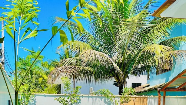 Une piscine entourée de palmiers et de plantes en pot, avec quatre chaises longues en bois disposées autour.