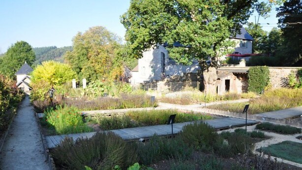 Garden - Le Gasseau (Saint-Leonard-des-Bois)
