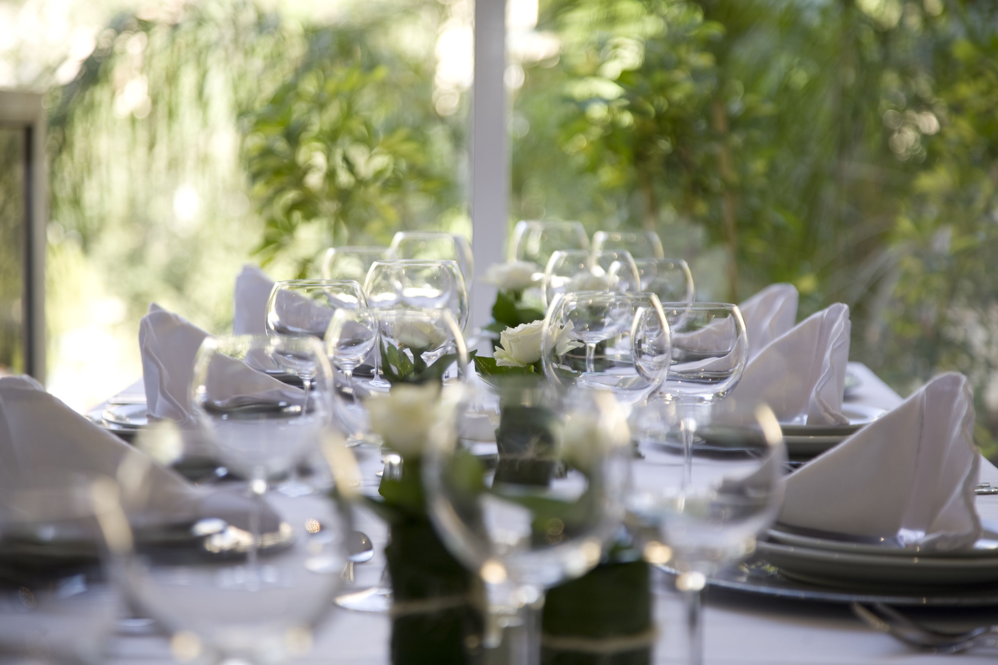 lunch and dinner served, pool views
