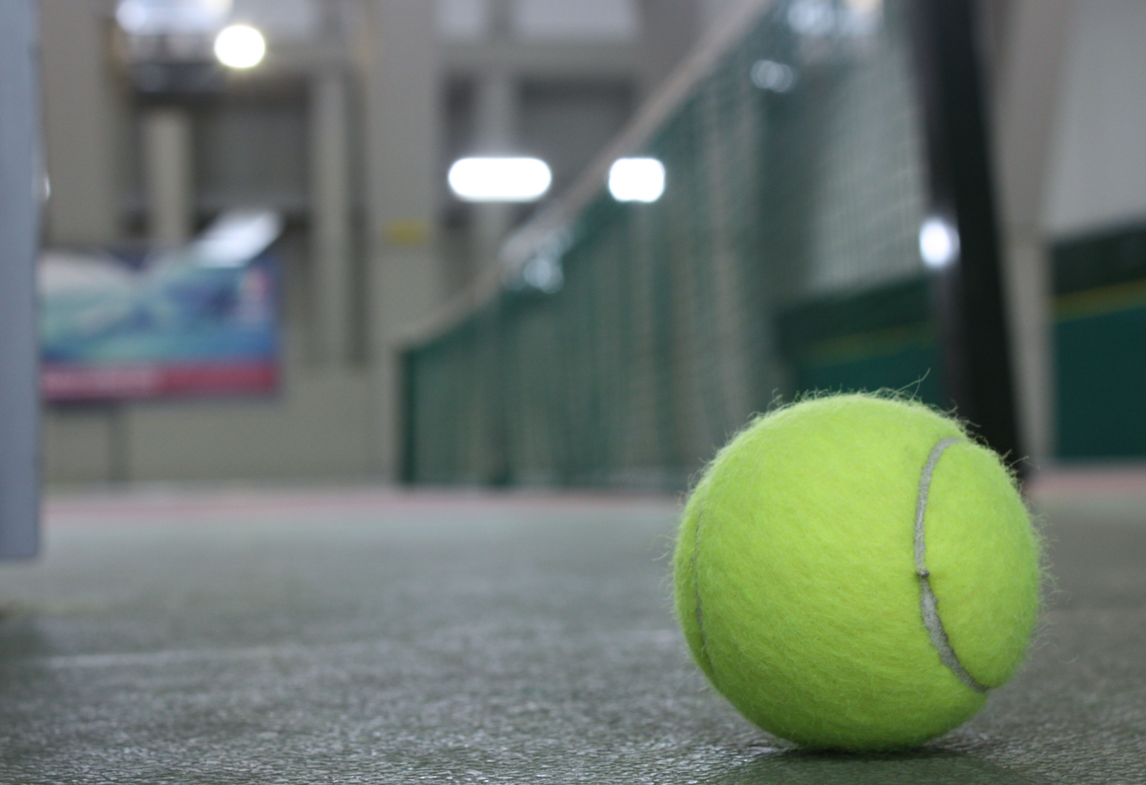 Une balle de tennis sur une surface verte.