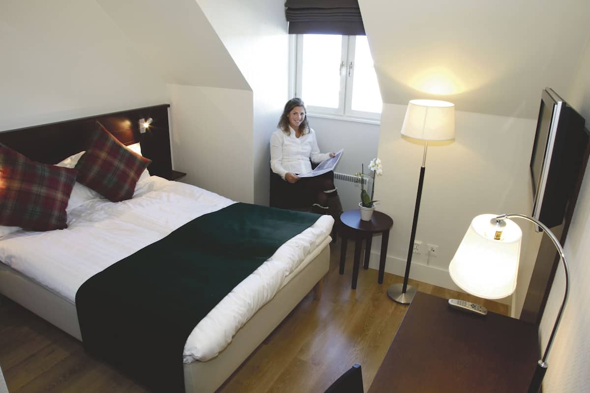 Una habitación de hotel con una cama, una mesita de noche con lámpara, una pequeña mesa con planta en maceta y una ventana con luz natural.
