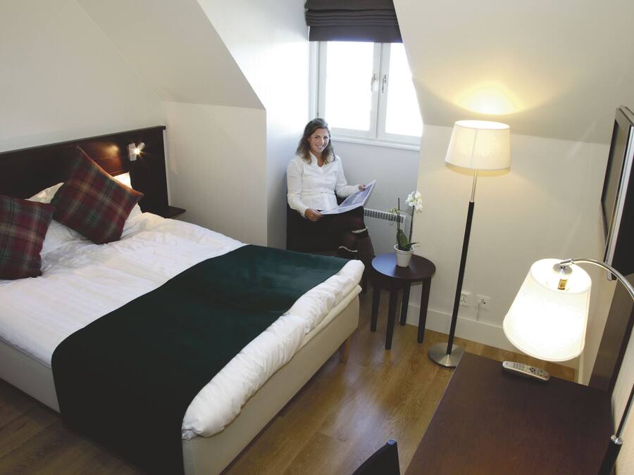 Desk, iron/ironing board, free cribs/infant beds, rollaway beds