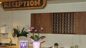 Un mostrador de recepción con un cartel de madera que dice "RECEPTION", una maceta con una orquídea rosa y una señal que indica una zona wifi.