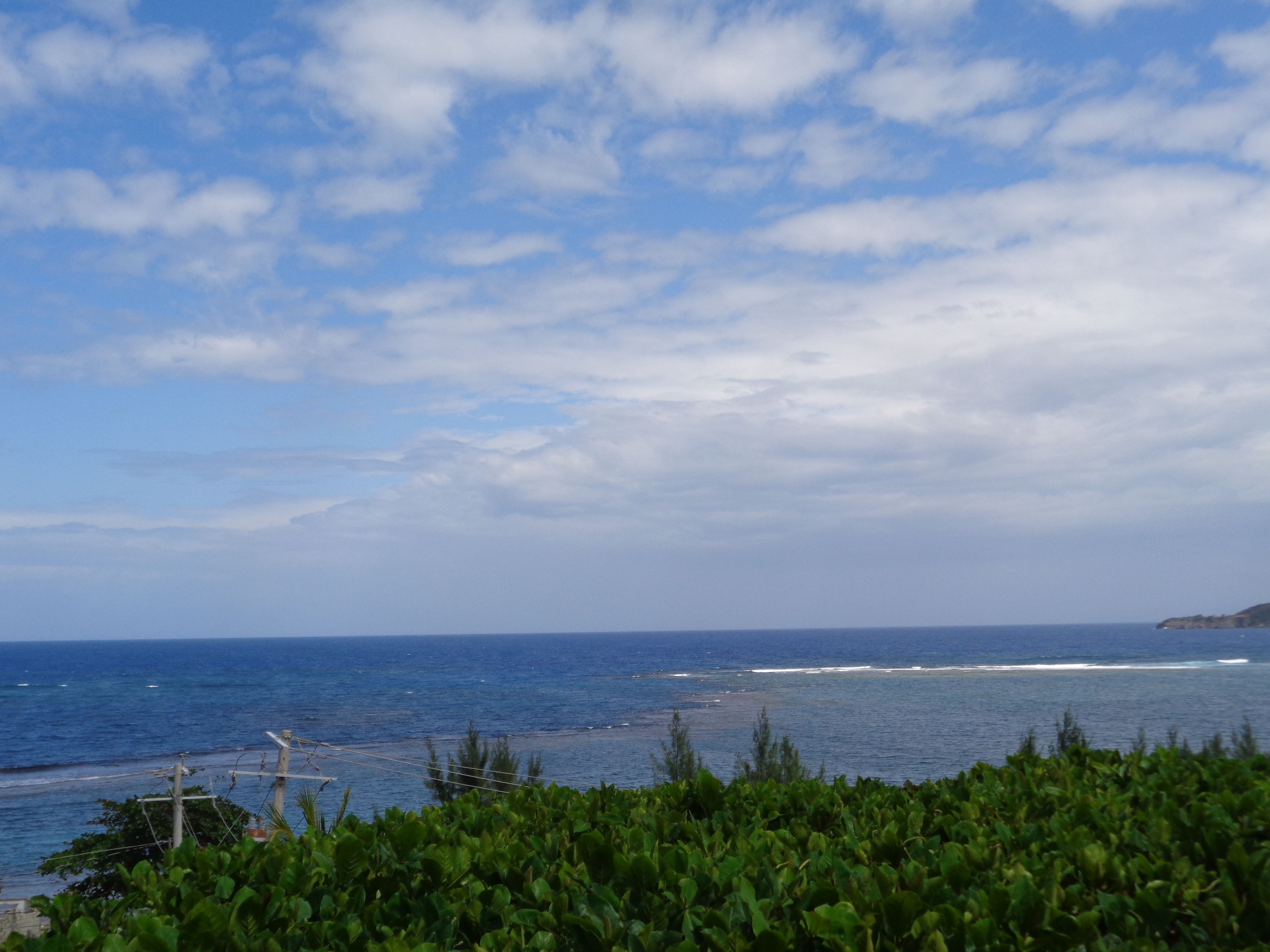 A coastal landscape with a view of the ocean and a distant landmass.
