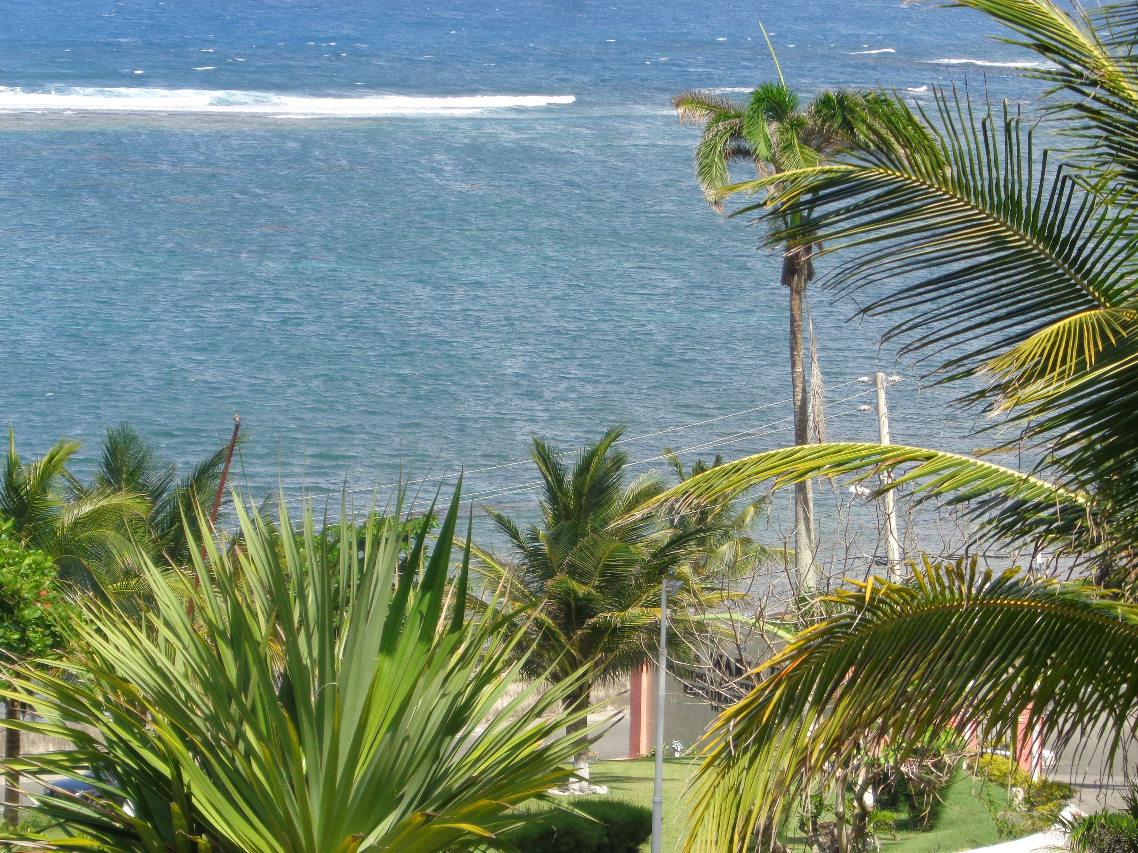 A view of the ocean with palm trees in the foreground.
