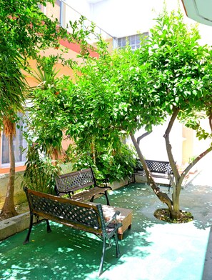 Property grounds - Panorama Hotel (Rhodes)