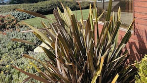A modern building with a large window overlooking a landscaped garden and the ocean. - Cambria Landing Inn & Suites (Cambria)
