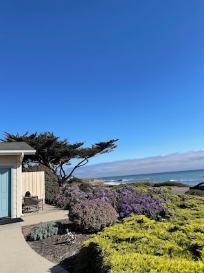 Superior Room, 1 King Bed, Jetted Tub, Ocean View | View from room - Cambria Landing Inn & Suites (Cambria)