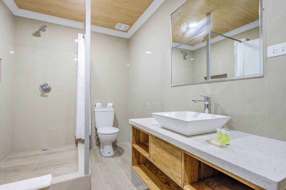 double room, non smoking | bathroom | shower, hair dryer, towels
