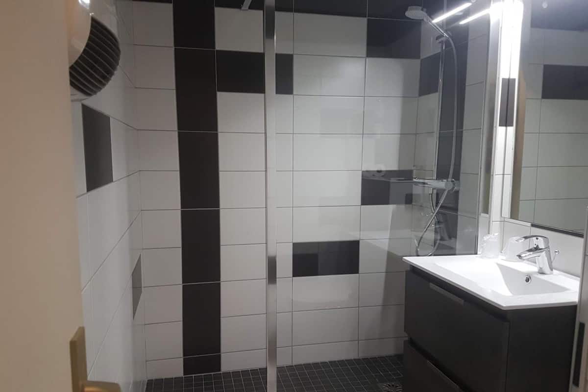 hair dryer, soap, shampoo, toilet paper