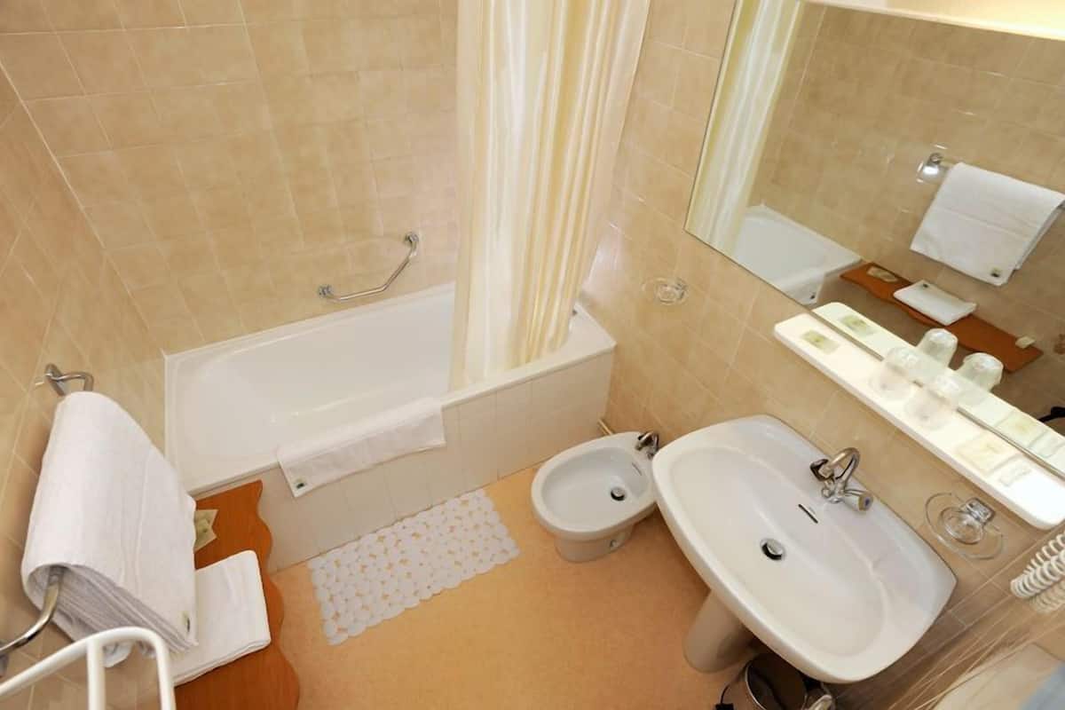Hair dryer, soap, shampoo, toilet paper