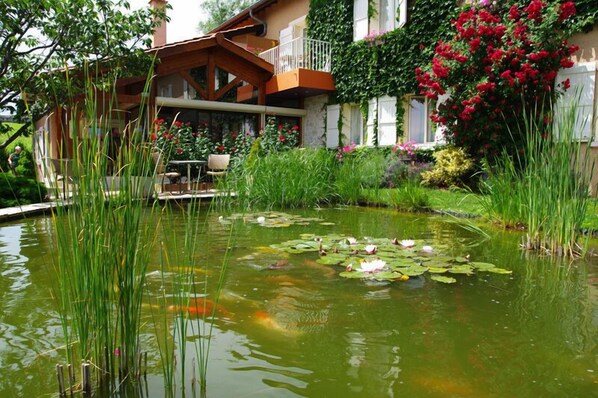 A pond with water lilies and koi fish, surrounded by lush greenery and a wooden deck.