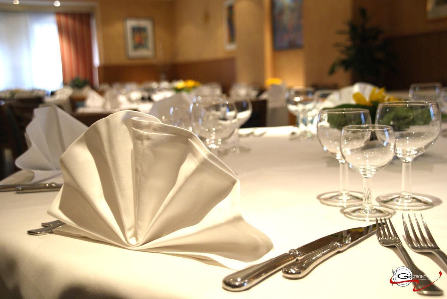 Foto - Logis Hôtel Acacia