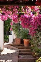A brick pathway leading to a set of steps with a white wall on one side and a large terracotta pot on the other.