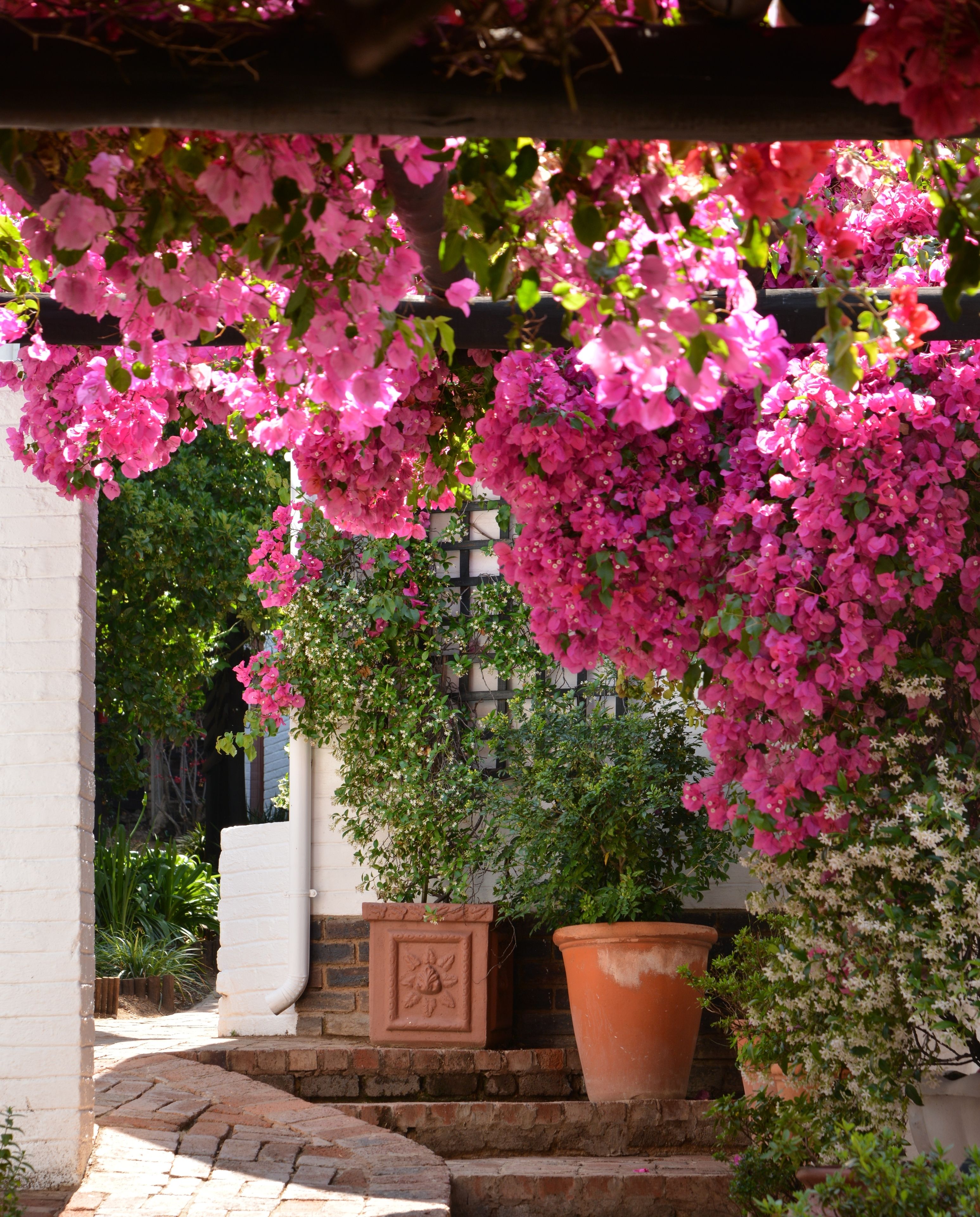 Foto - Rivonia Premier Lodge