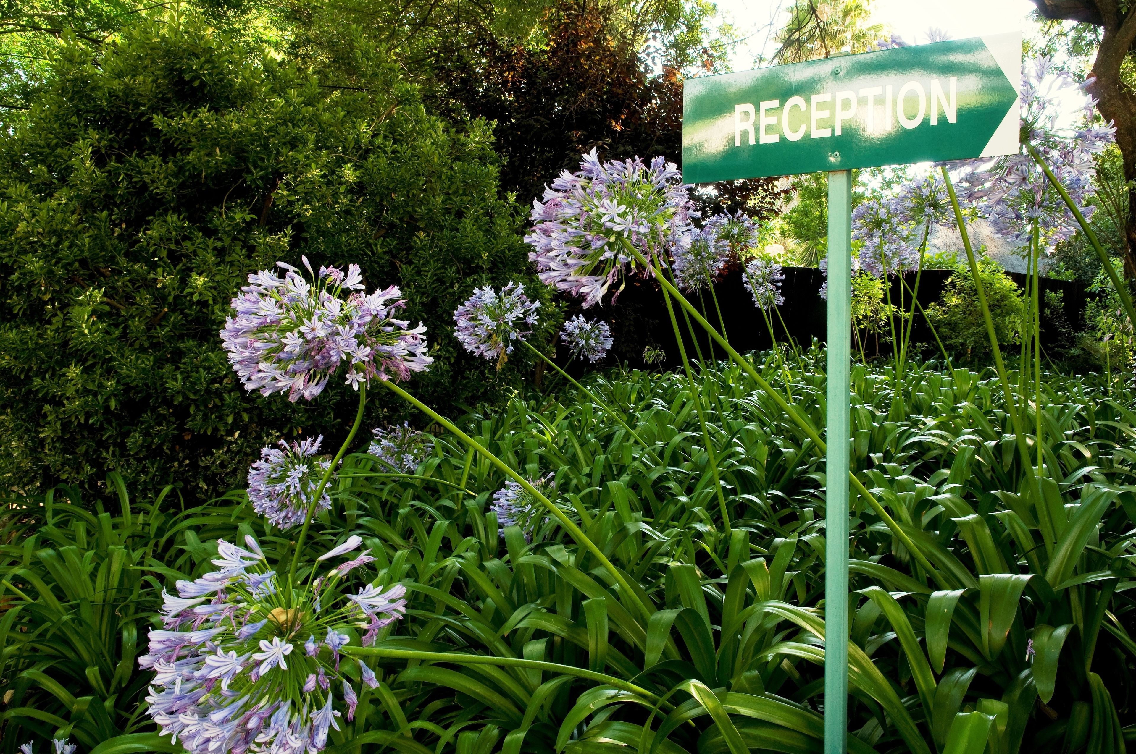 A reception sign in a garden with lush greenery and flowering plants.