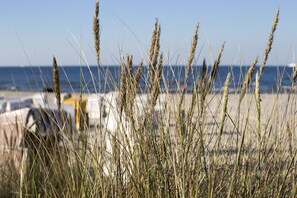 On the beach