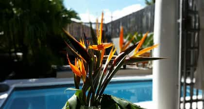 Jardin D'ébène Boutique Guesthouse