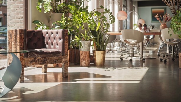 Een modern interieur met een leren bank, potplanten en een eethoek met stoelen en tafels.