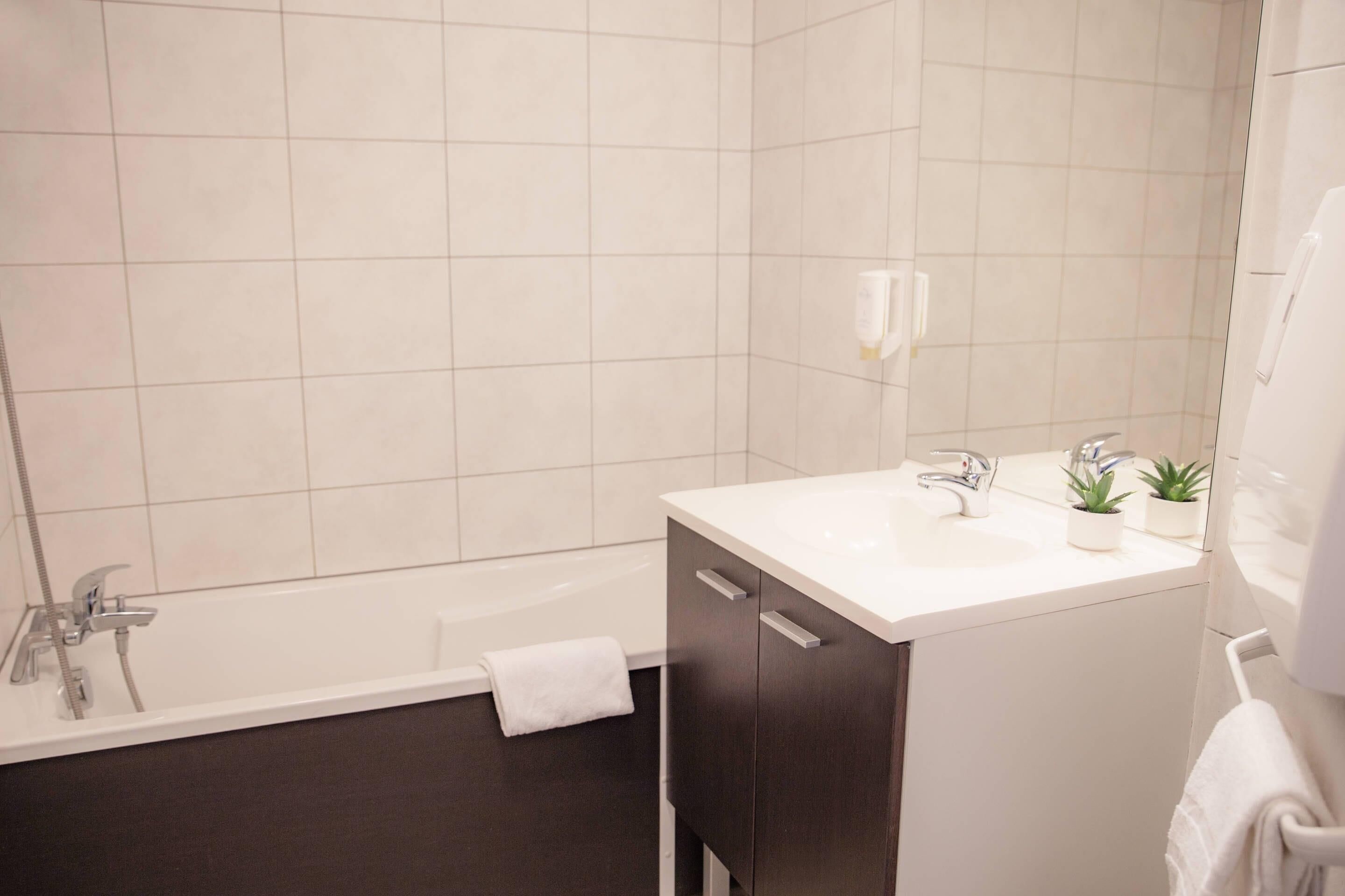 A modern bathroom with a bathtub, a white sink with a mirror, and a small potted plant on the counter.