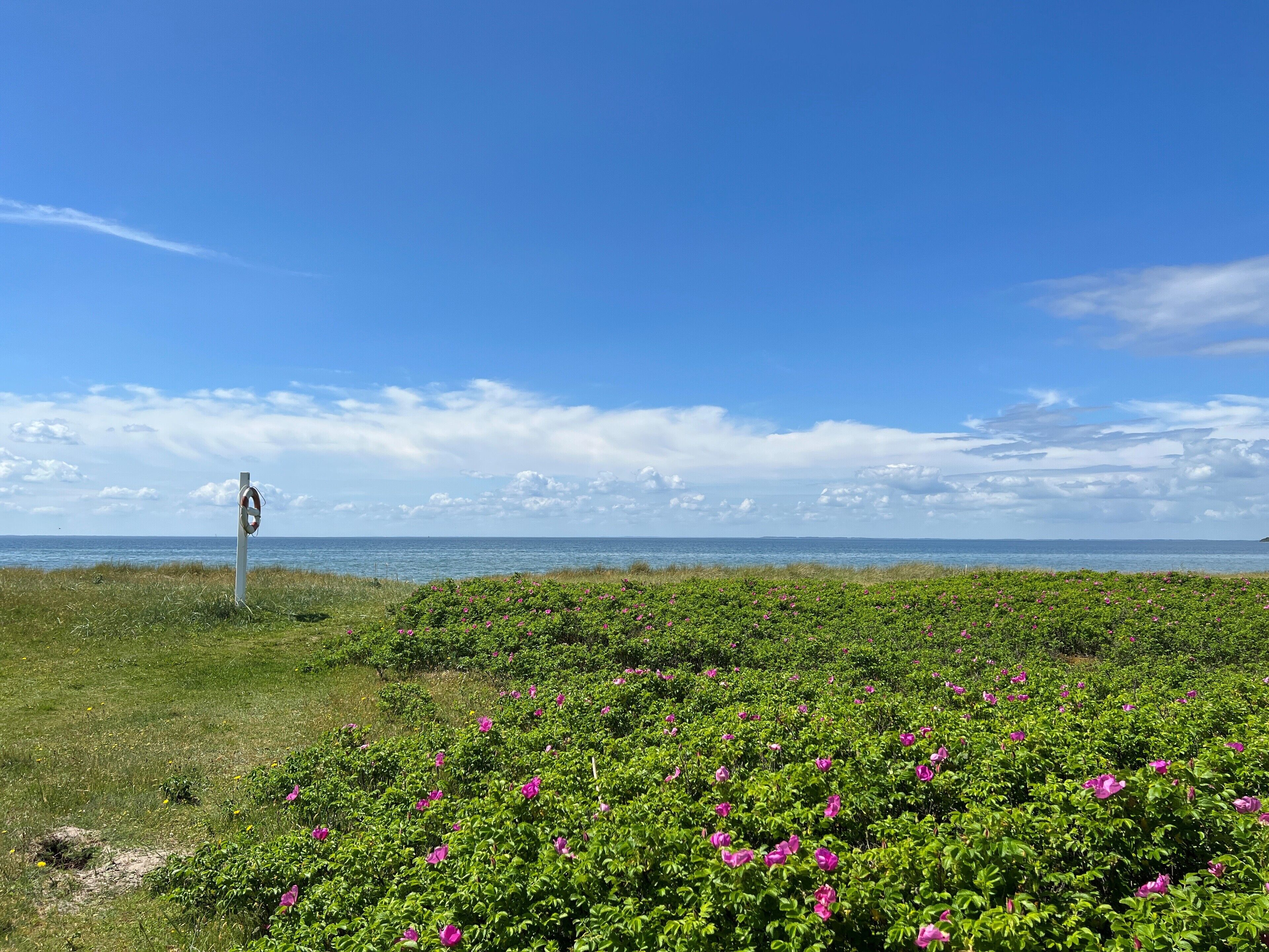 double room, 1 bedroom (140cm bed) | water view