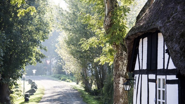 En smal, træbeklædt vej der fører hen til et traditionelt bindingsværkshus med stråtak.