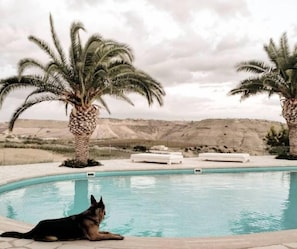 Ein Poolbereich mit einem Hund, der am Pool liegt, Palmen und einer hügeligen Landschaft im Hintergrund.