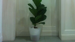 Unclassified image, 4 of 45, button - Statuto Eco Art Hotel (Turin)