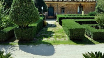 Tuin