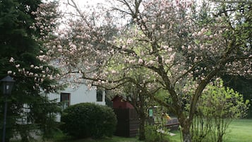 Double Room | Garden view