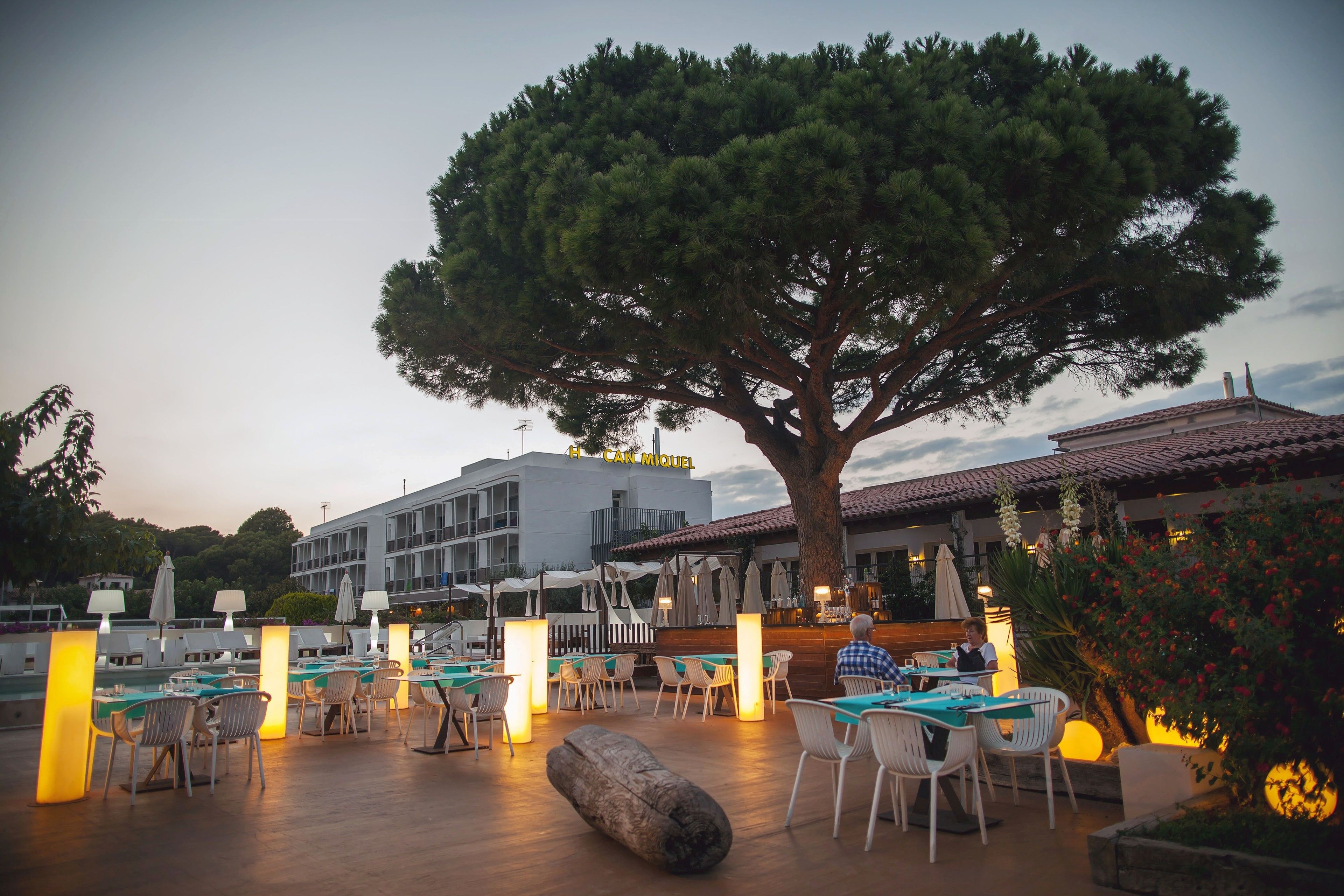 An outdoor dining area with tables and chairs, a large tree, and a building in the background.