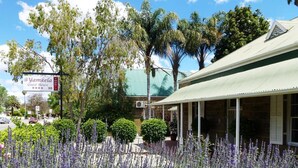 A guest house with a signboard, surrounded by lavender fields and trees.
