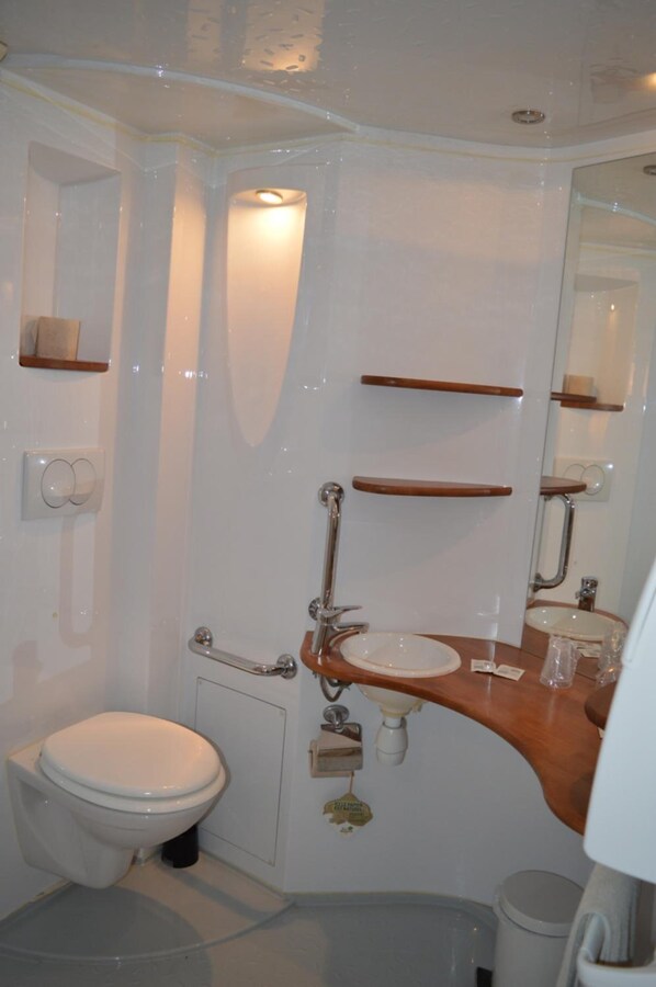 A compact bathroom with a white toilet, a sink, and a mirror. - Bagatelle (Dizy)