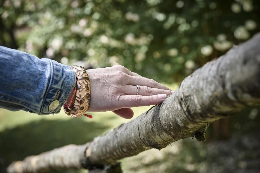 A hand reaching out to a tree branch.