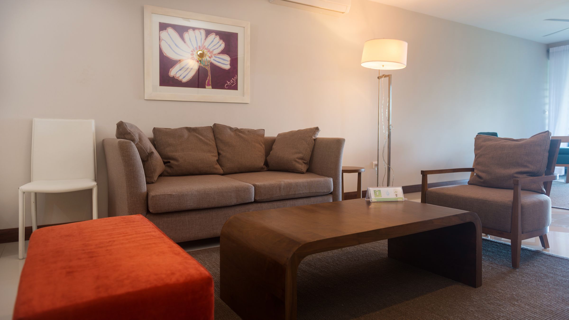 deluxe apartment | living area | led tv, dvd player