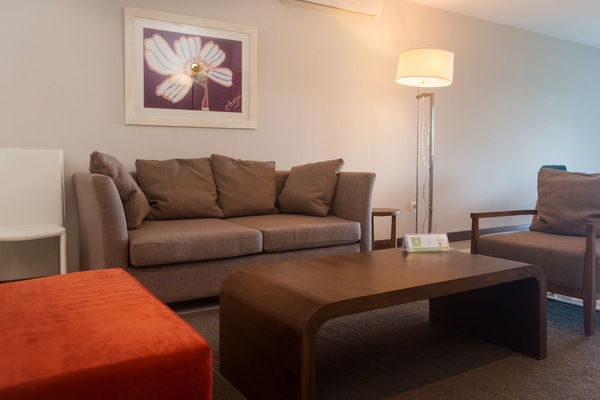 Deluxe Apartment | Living area | LED TV, DVD player