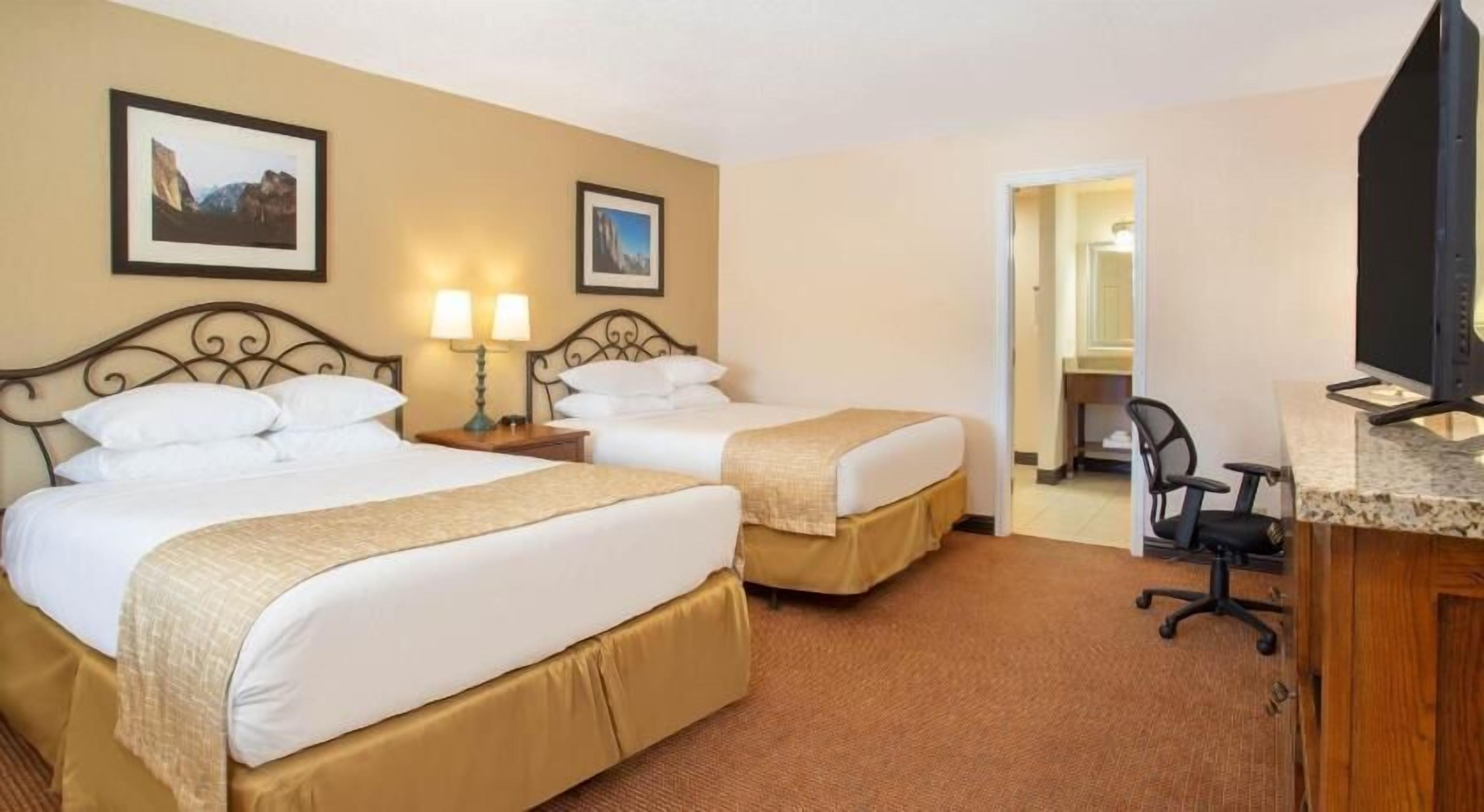 Premium bedding, in-room safe, desk, blackout drapes